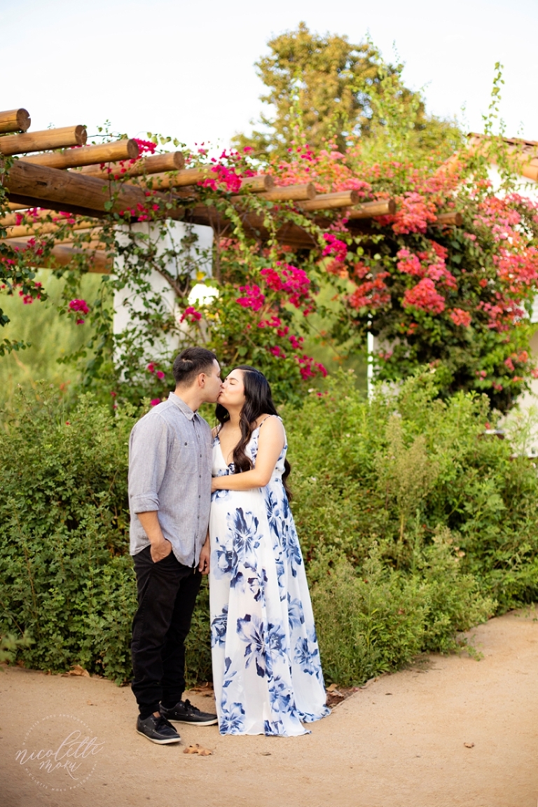 whittier maternity photographer, whittier maternity session, los angeles maternity pictures, nature maternity session, wild flowers maternity, outdoor maternity photos, nature maternity photos