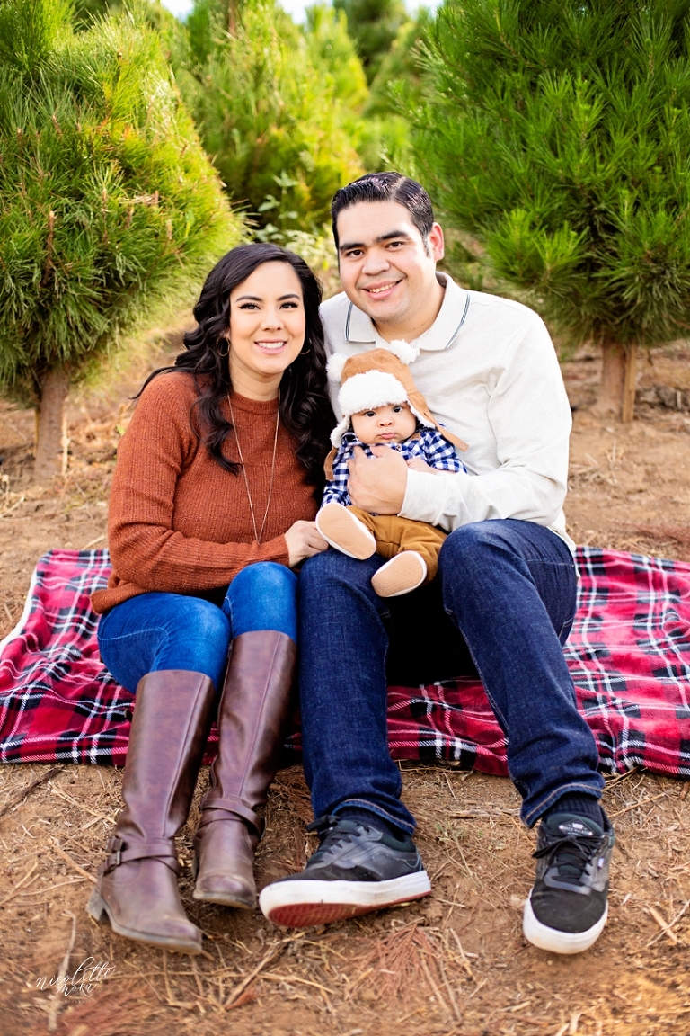 christmas tree farm photos, peltzer pine family photos, peltzer pine christmas tree farm, holiday family photos