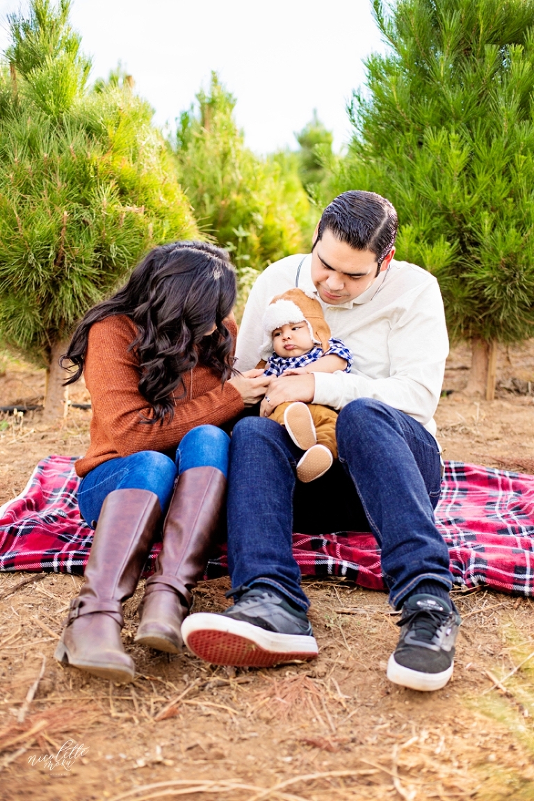 christmas tree farm photos, peltzer pine family photos, peltzer pine christmas tree farm, holiday family photos